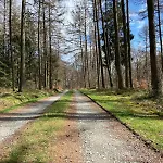 Eifelhauszeit - Narzissen Bluehen Und Bei Uns Seid Ihr Direkt Mittendrin *