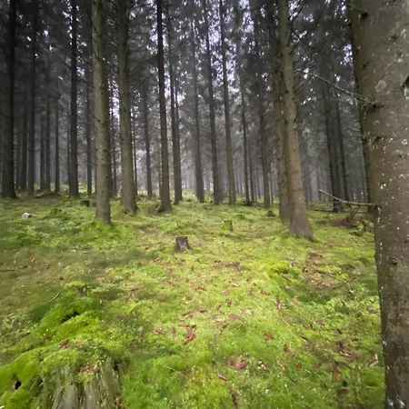 Eifelhauszeit 펜션 몬샤우