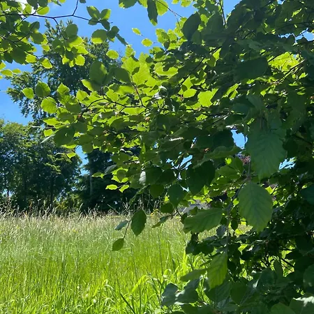 펜션 Eifelhauszeit *