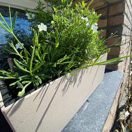 펜션 Eifelhauszeit 몬샤우