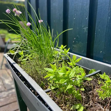 Eifelhauszeit * 몬샤우