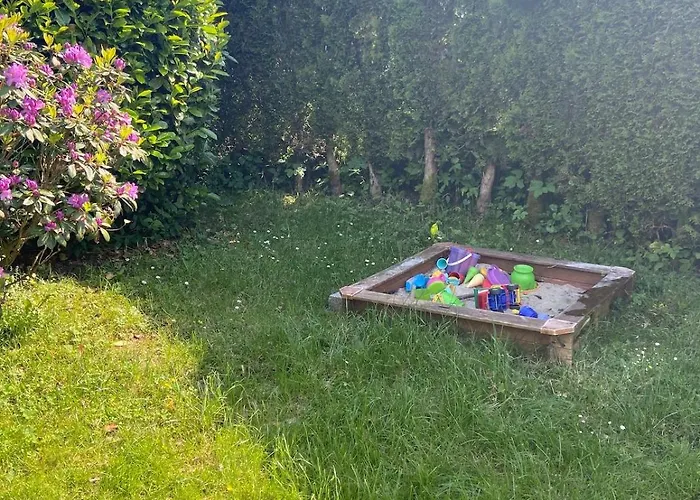 Eifelhauszeit - Narzissen Bluehen Und Bei Uns Seid Ihr Direkt Mittendrin