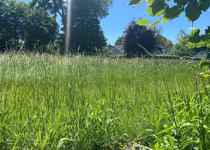 Eifelhauszeit - Narzissen Bluehen Und Bei Uns Seid Ihr Direkt Mittendrin