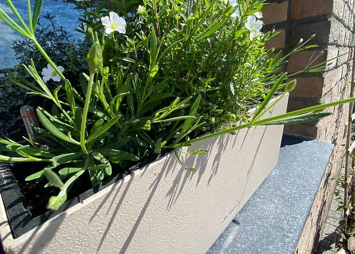 بيت للعطل Eifelhauszeit مونشاو