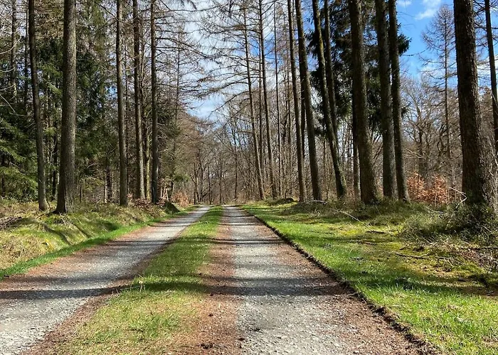 Eifelhauszeit - Narzissen Bluehen Und Bei Uns Seid Ihr Direkt Mittendrin *