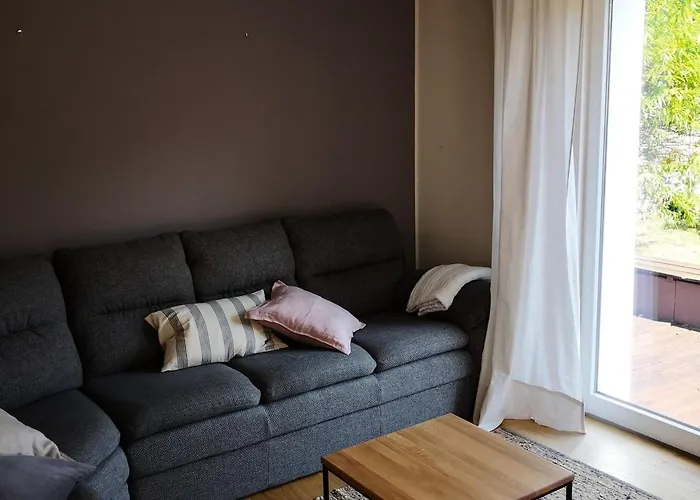 Eifelhauszeit - Narzissen Bluehen Und Bei Uns Seid Ihr Direkt Mittendrin