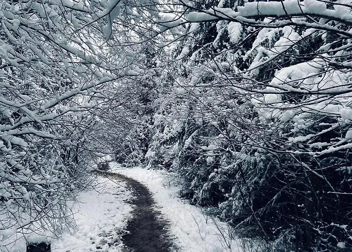 Eifelhauszeit - Narzissen Bluehen Und Bei Uns Seid Ihr Direkt Mittendrin *