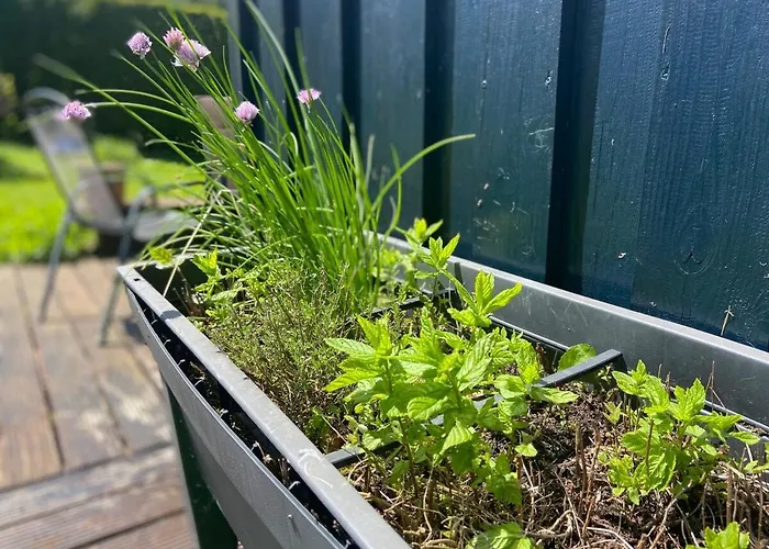 Eifelhauszeit * مونشاو